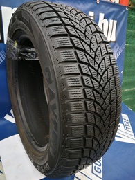 205/50R17 Dayton DW510 EVO