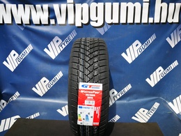 205/60R16 GT Radial Winterpro2 EVO 96HXL