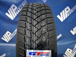205/60R16 GT Radial Winterpro2 EVO 96HXL