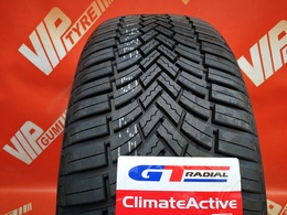 205/55R16 GT Radial ClimateActive 94V